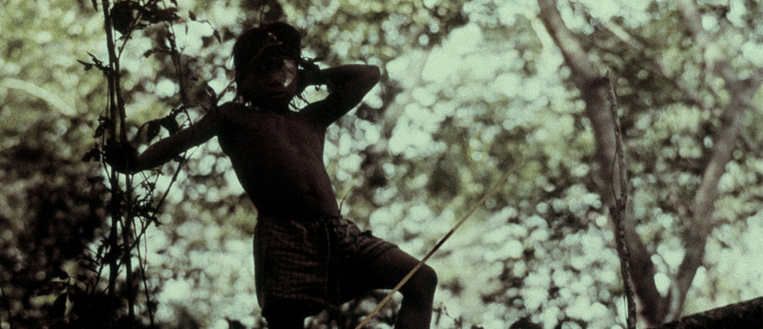 ||Fotografía del proyecto `Mato Grosso´|Fotografías del proyecto `Mato Grosso´||