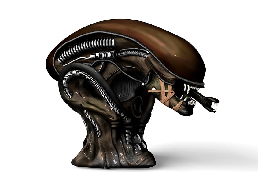 Luis gomez fp en animaciones