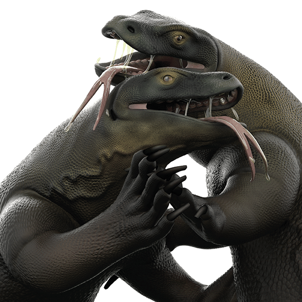 trabajos alumnos CEV