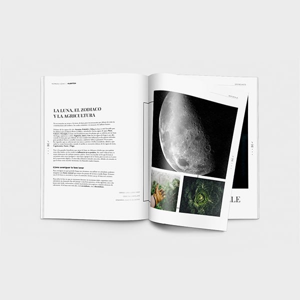 trabajo alumnos diseño grafico y web