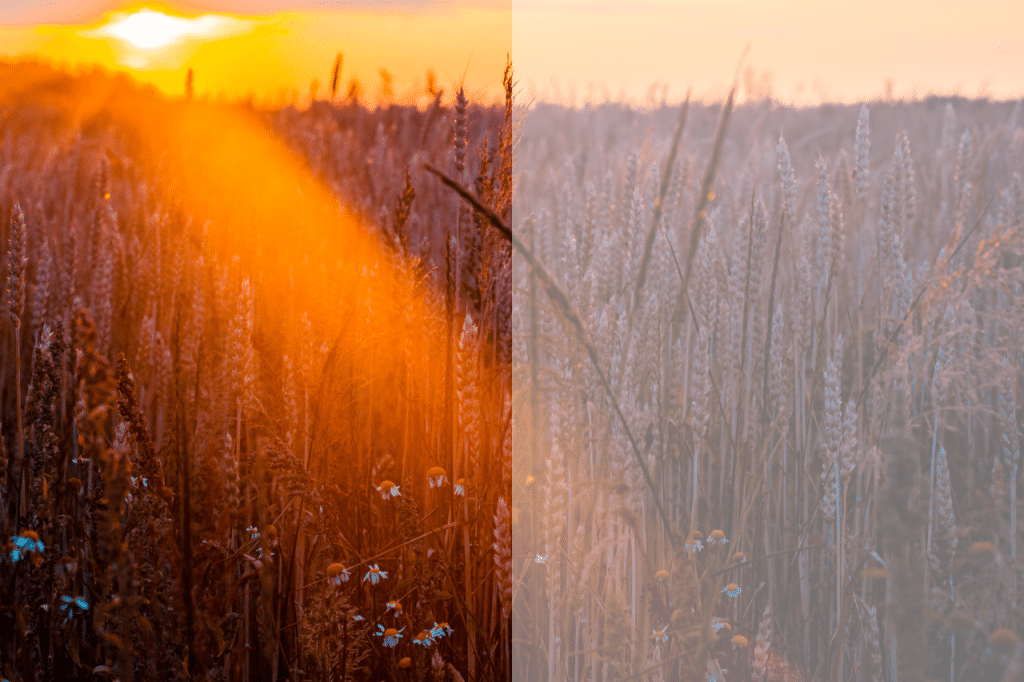 Técnicas de corrección de color